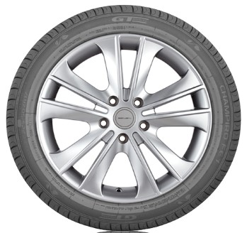 GT Radial Champiro FE1 (1)